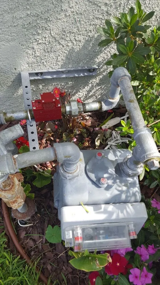 Slide of Quick Rooter