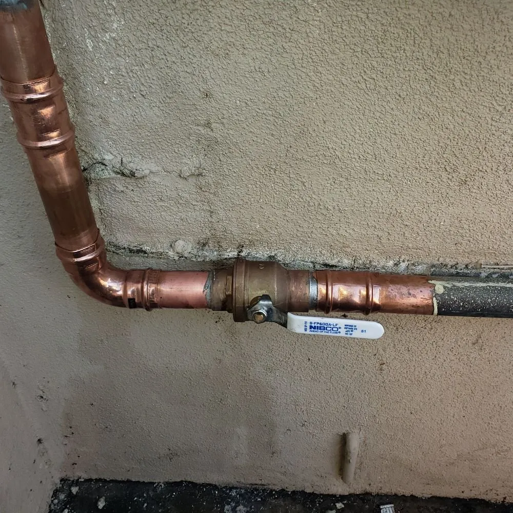 Slide of Quick Rooter