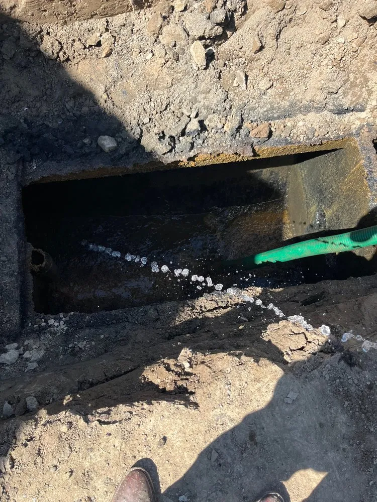 Slide of Quik-Rooter