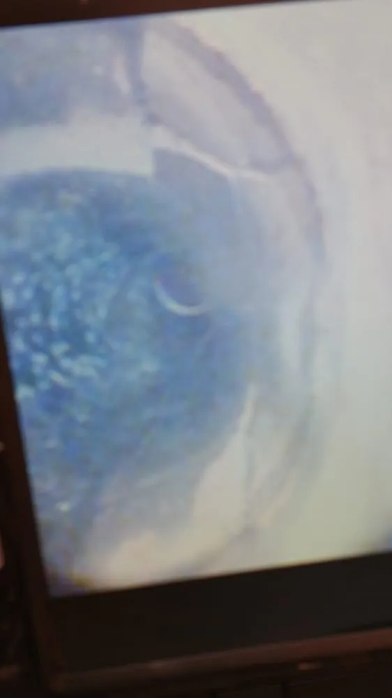 Affordable drain cleaning in Commerce, CA by Qwikfix Rooter Service & Plumbing Inc