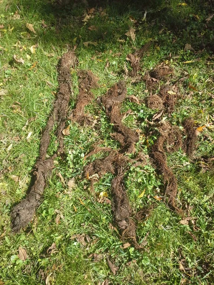 Slide of R & R Pumping