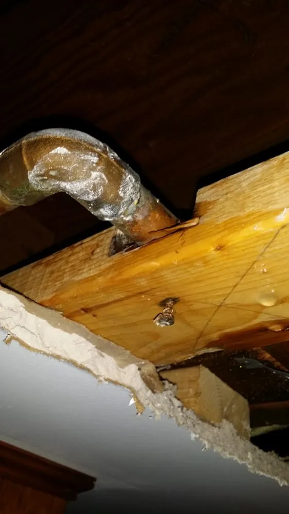 Emergency leak detection for homes in Worcester, MA by R. Fresolo Plumbing & Heating