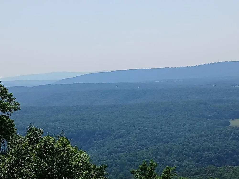 Slide of R H Lapp & Sons