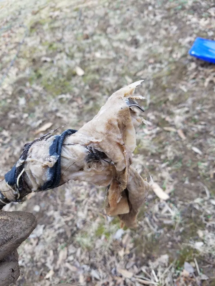 Slide of R L Sewer Service