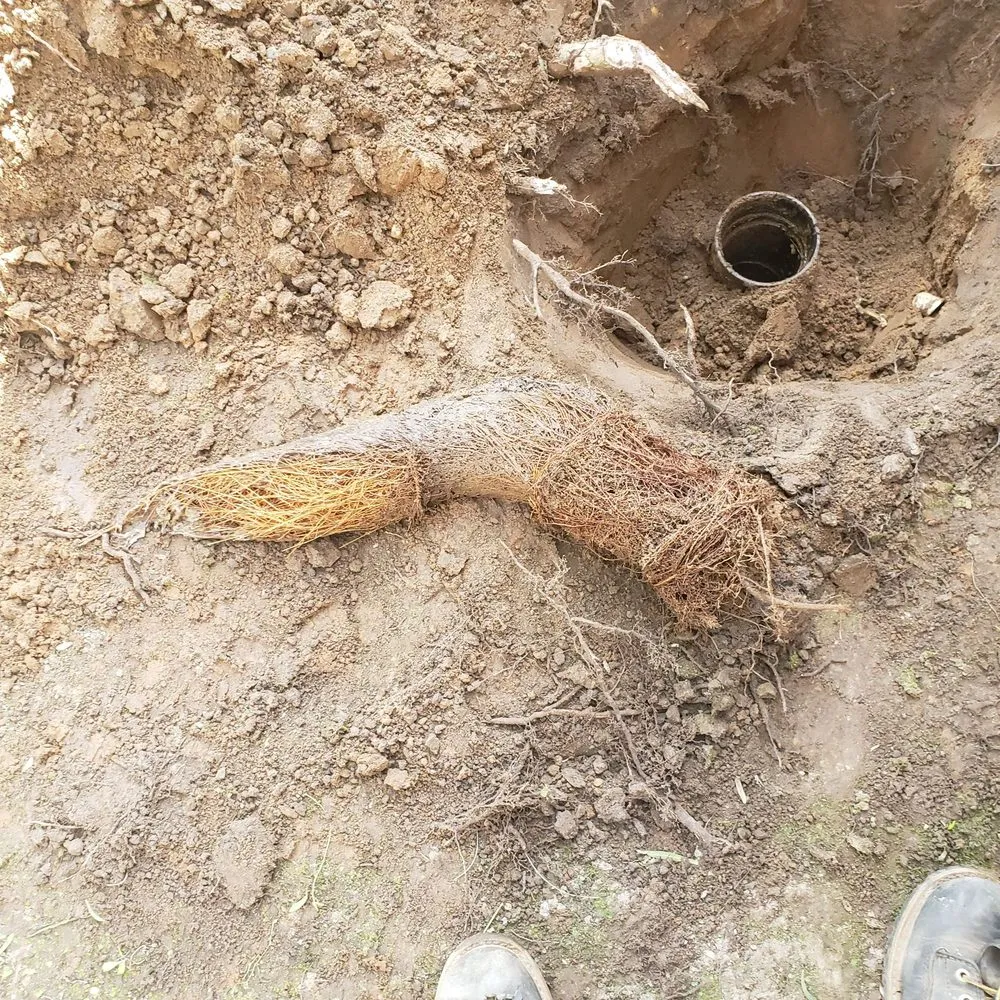 Slide of R M O Plumbing Root-M-Out