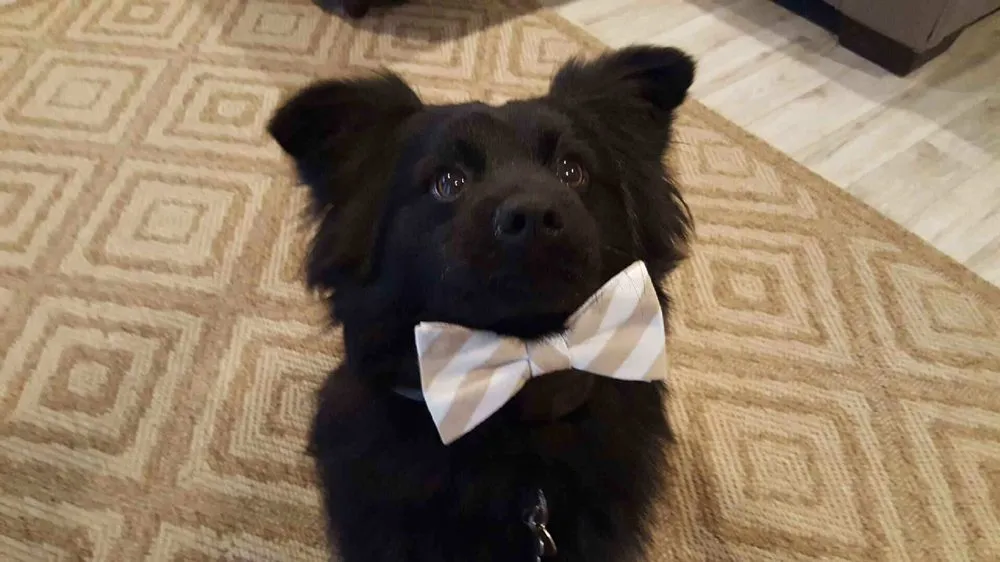 Slide of R S Newcomb