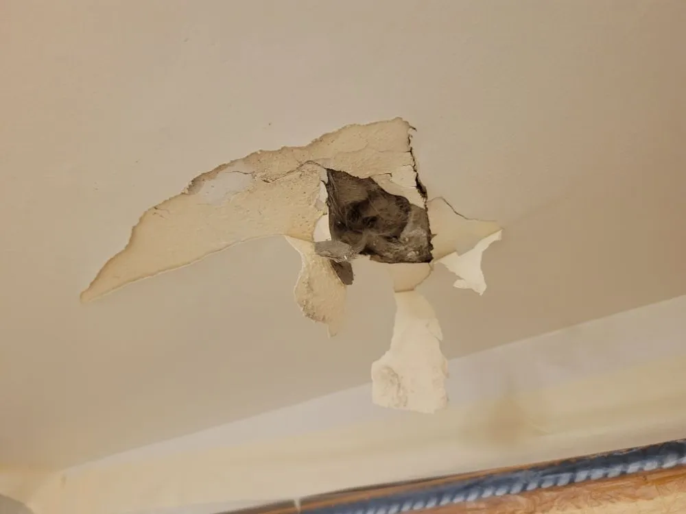 Slide of R4 Home Improvement