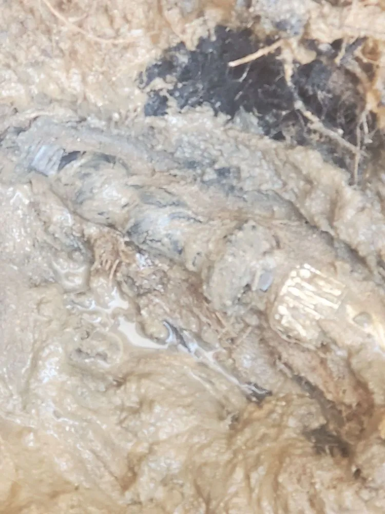 Slide of Racer Robs Plumbing