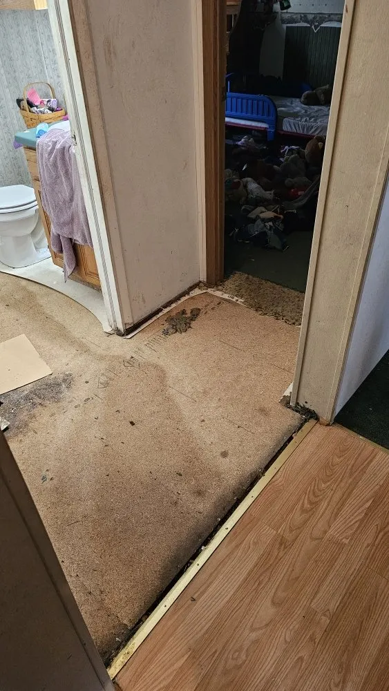 Professional water heater service for homes in Elysburg, PA by Rad Chad's Handyman Services