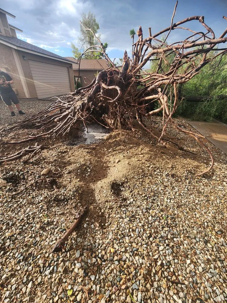 Slide of Rad Plumbing