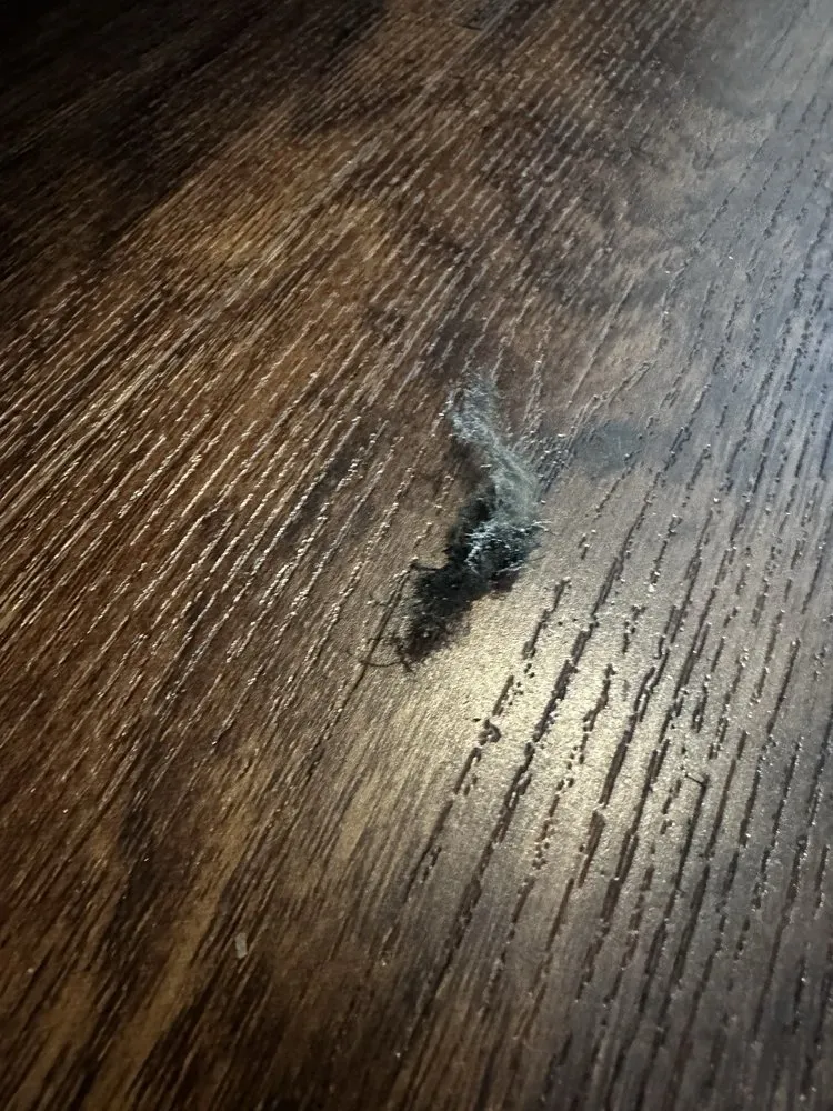 Quality plumbing repair experts serving Austin, TX - Radiant Plumbing & Air Conditioning - Austin