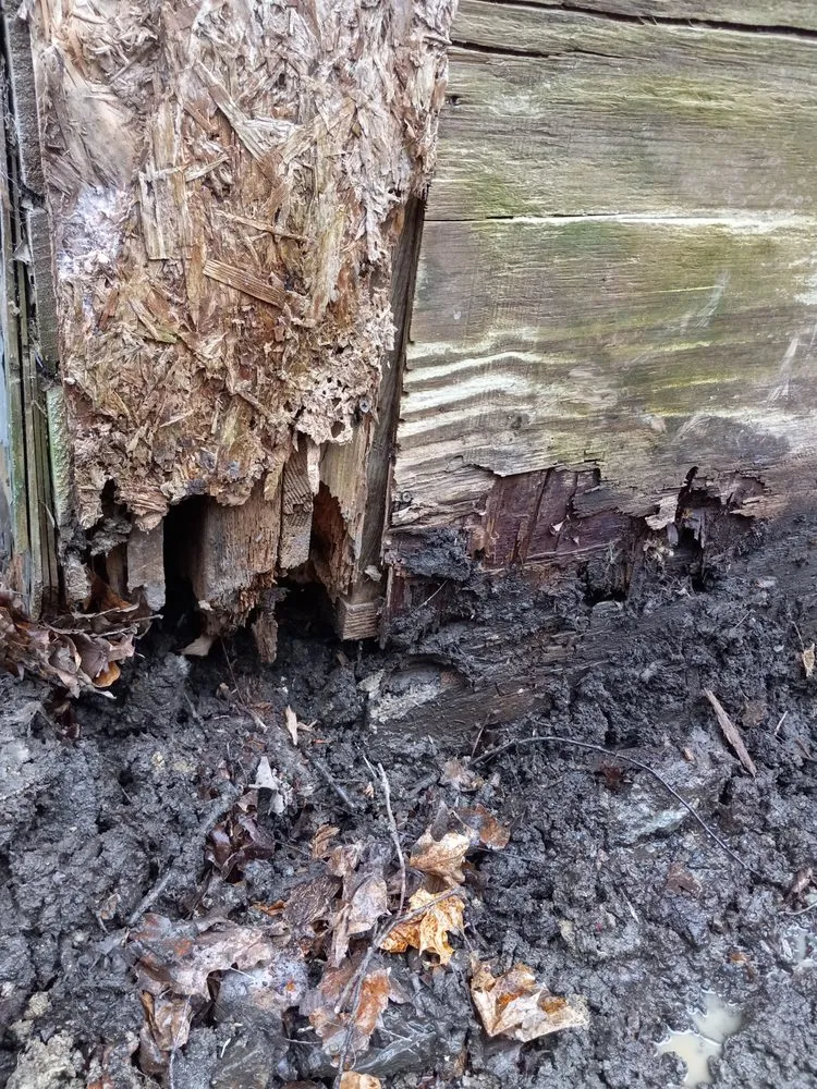 Trusted emergency plumbing for homes in Smethport, PA by RADS Home Improvement