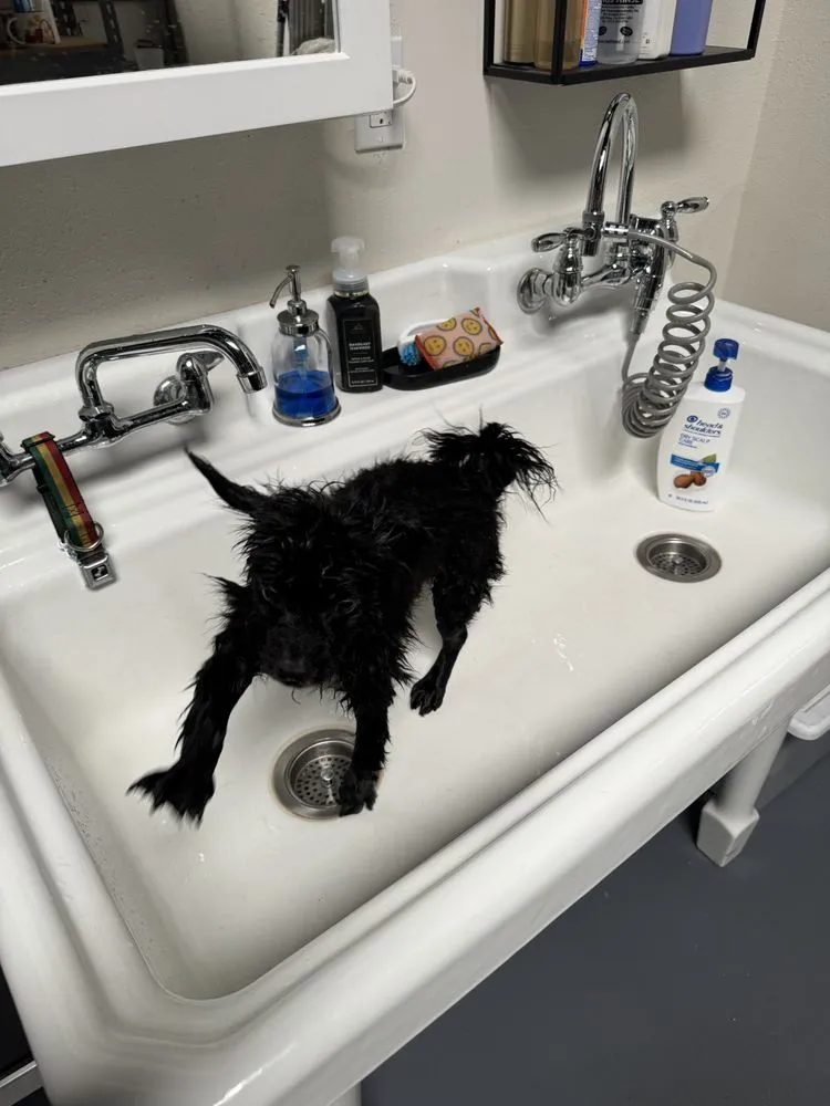 Slide of Rafa's Plumbing