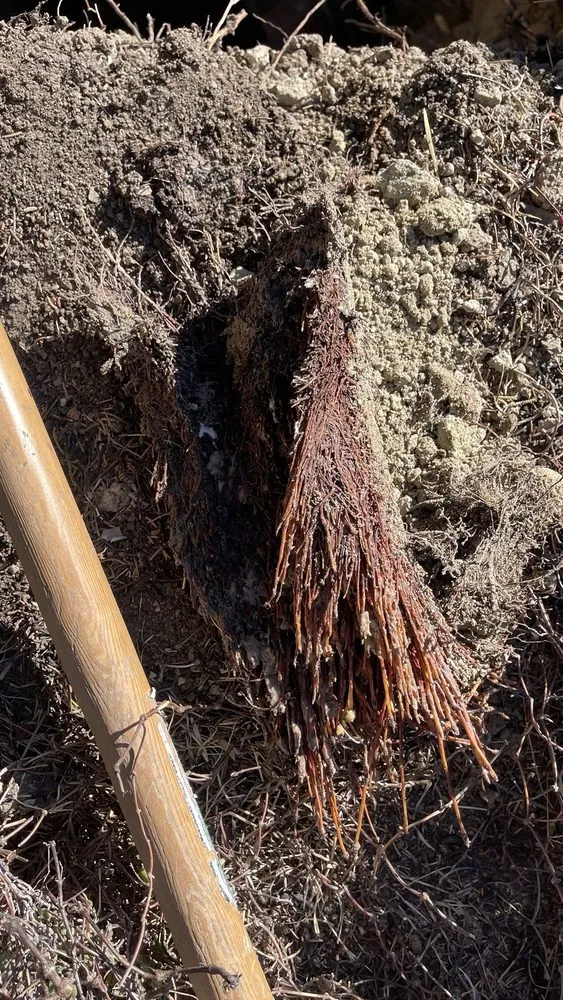 Slide of Raggio & Sons Plumbing