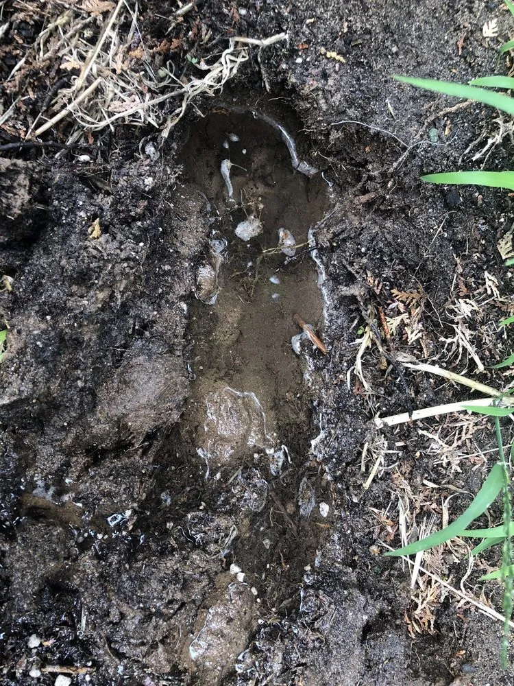 Slide of Ragone Repipe And Repairs