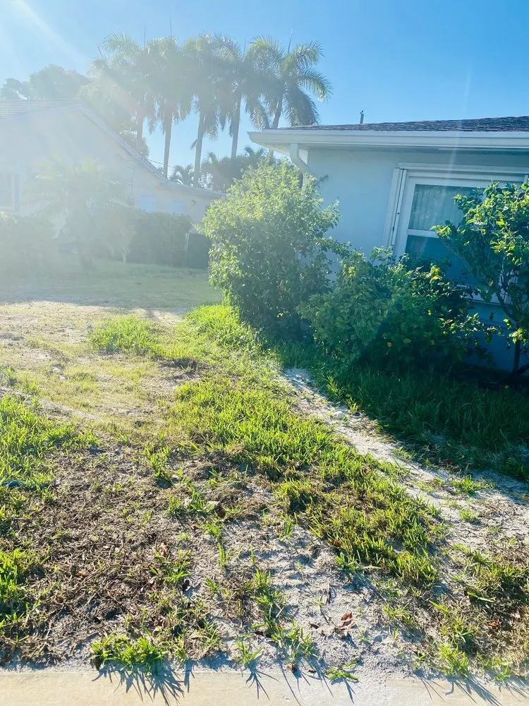 Slide of Raider Rooter