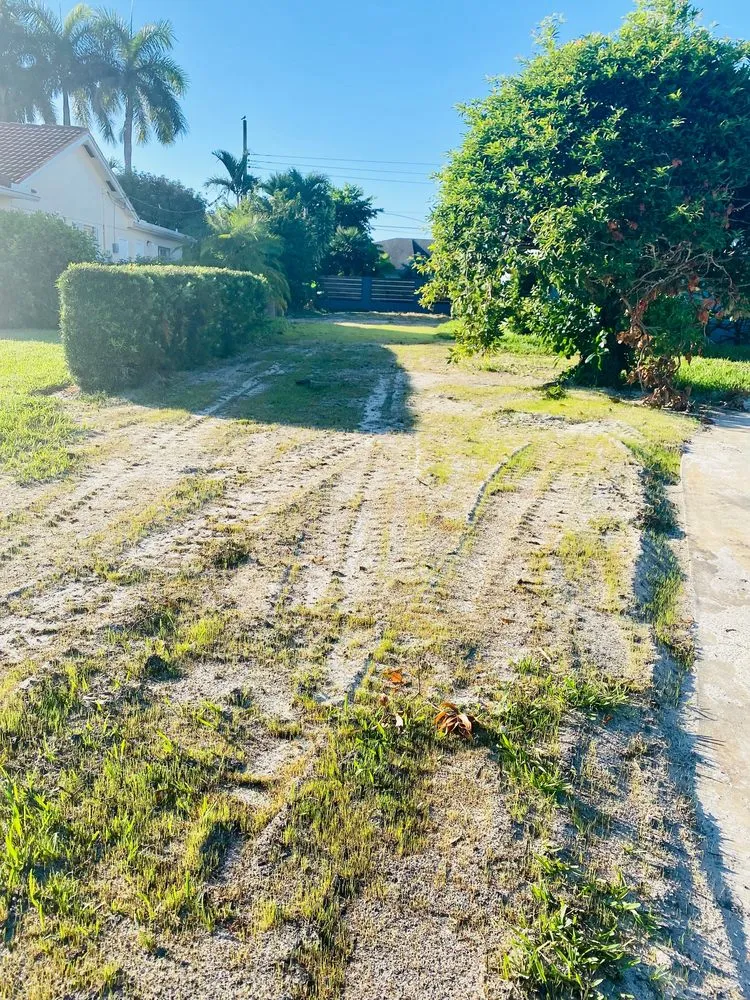 Slide of Raider Rooter