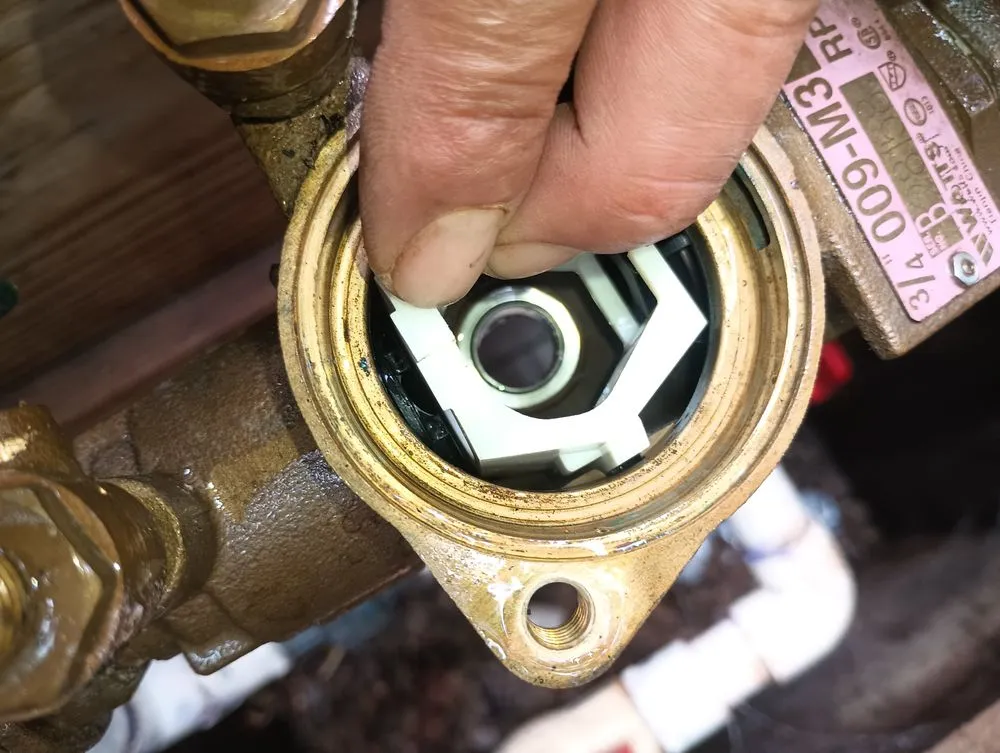 Slide of Rain Forrest irrigation