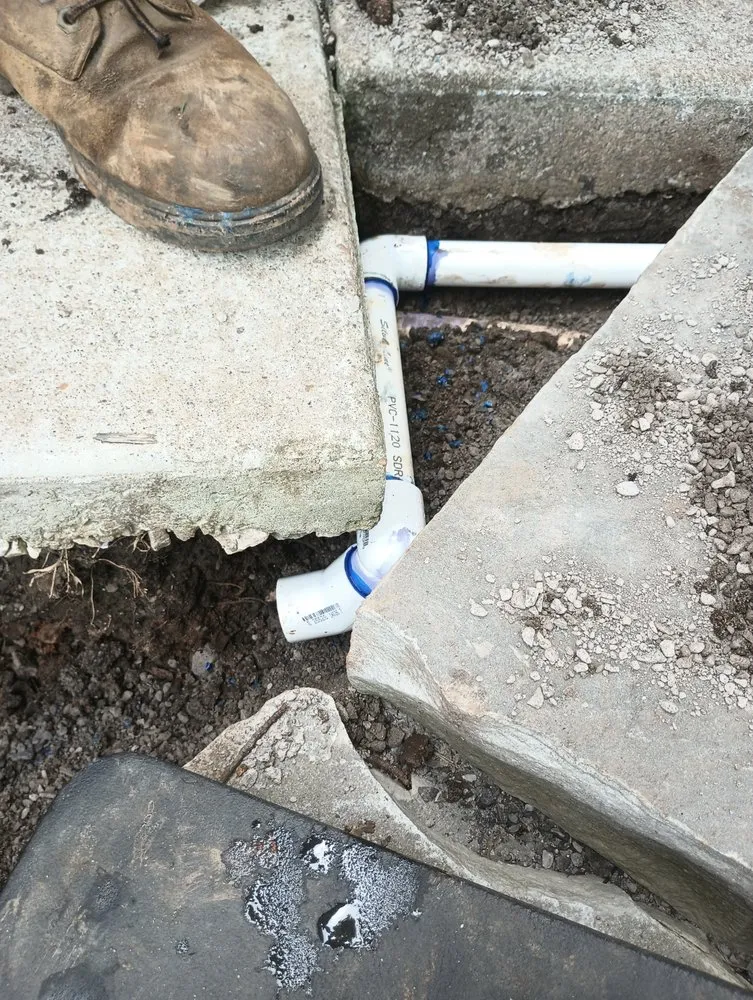 Slide of Rain Forrest irrigation