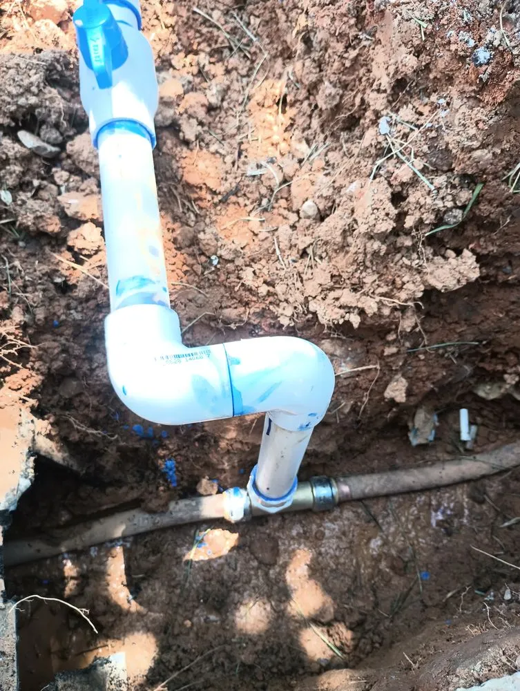 Slide of Rain Forrest irrigation