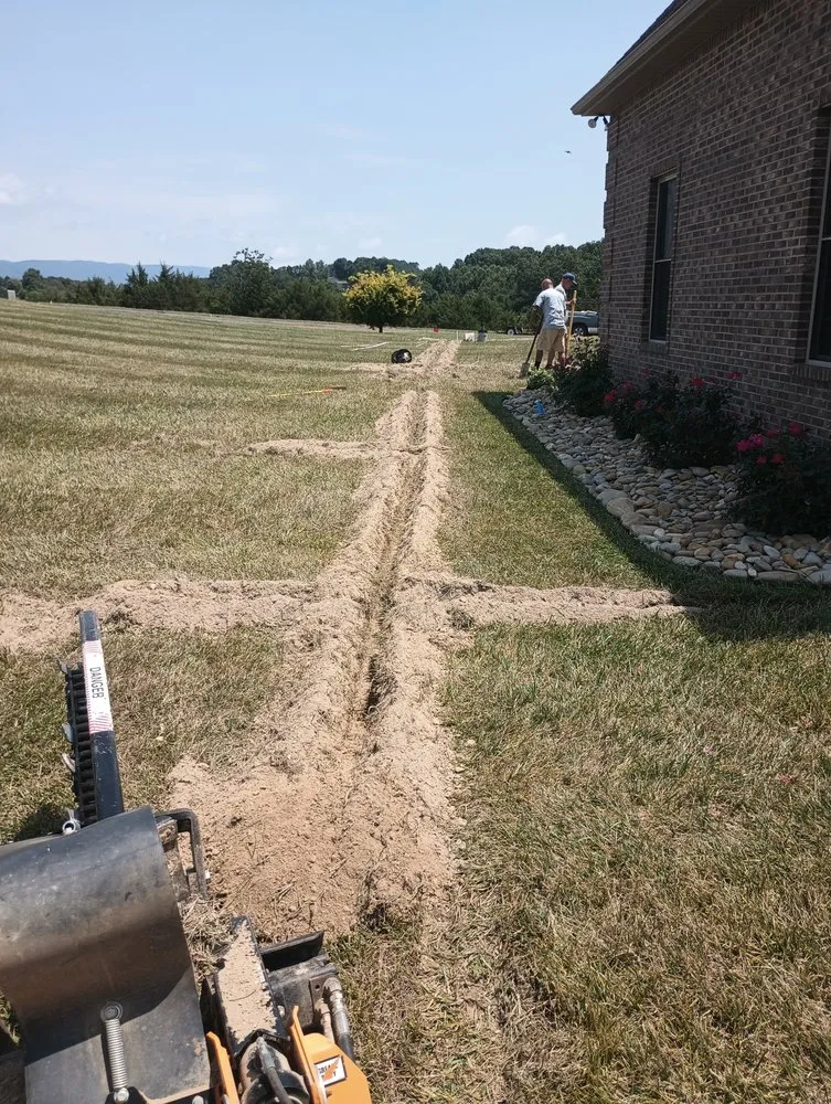 Slide of Rain Forrest irrigation