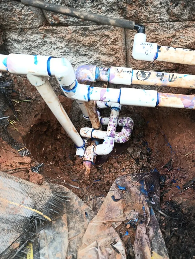 Slide of Rain Forrest irrigation