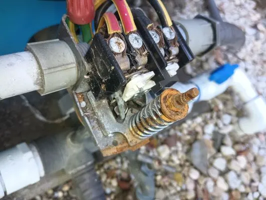 Rain Forrest irrigation Logo