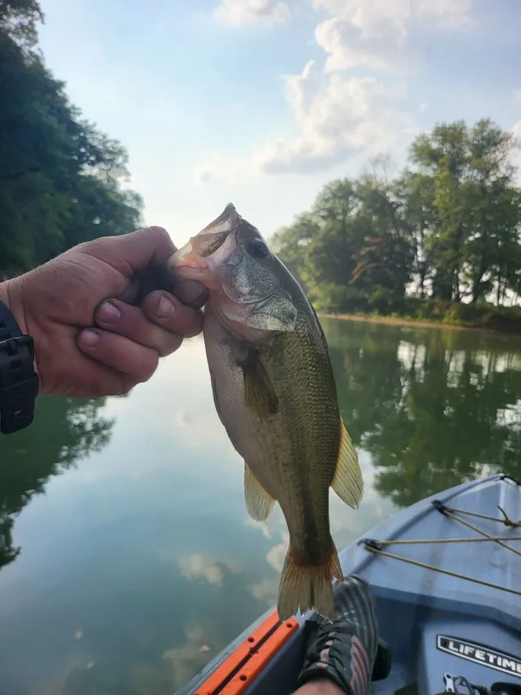 Slide of Rainey Day's Handyman Service