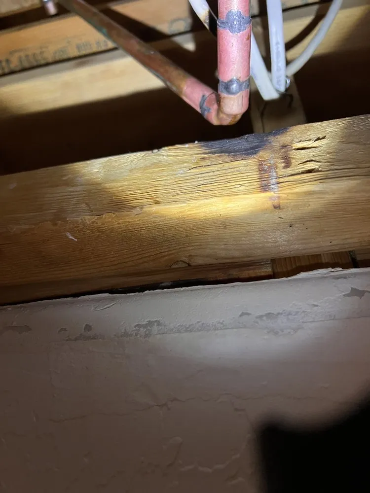 Slide of Rainforest Plumbing & Air - Phoenix