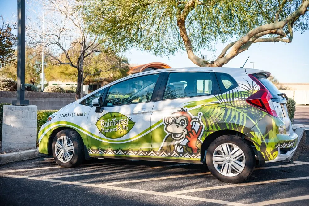 Reliable drain cleaning service in Mesa, AZ - Rainforest Plumbing & Air - Phoenix