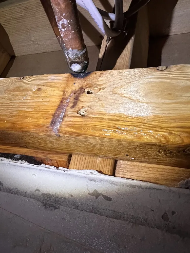 Slide of Rainforest Plumbing & Air - Phoenix