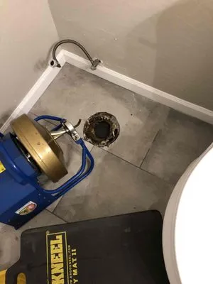 Rainforest Plumbing & Air - Phoenix Logo