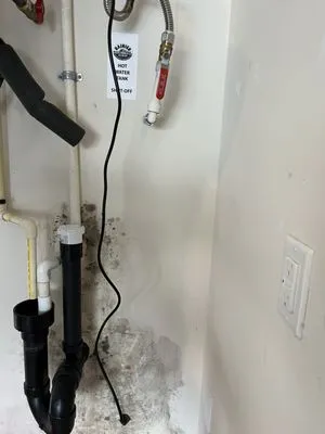 Rainier Custom Plumbing Logo