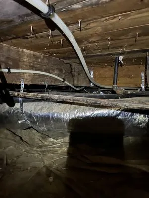 Rainier Rooter & Plumbing Logo