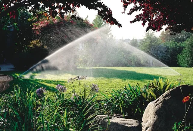 Slide of Rainman Irrigation & Landscape Lighting