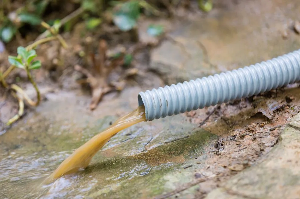 Slide of Rainman Irrigation & Landscape Lighting