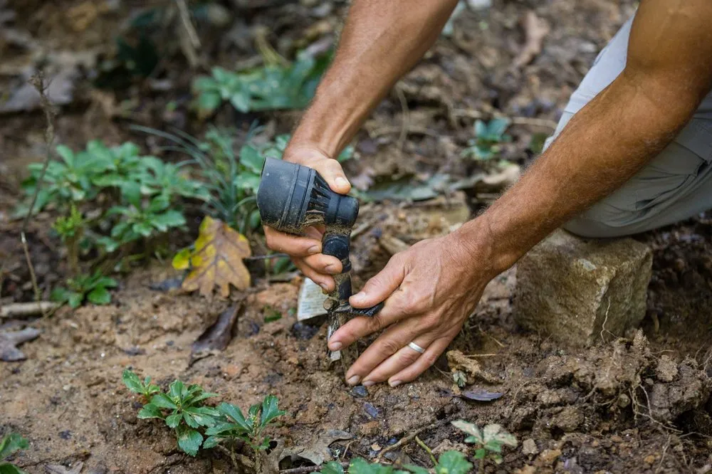 Slide of Rainman Irrigation & Landscape Lighting