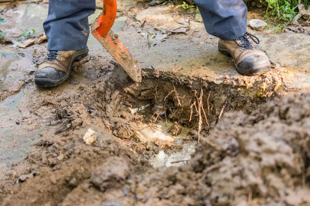 Slide of Rainman Irrigation & Landscape Lighting