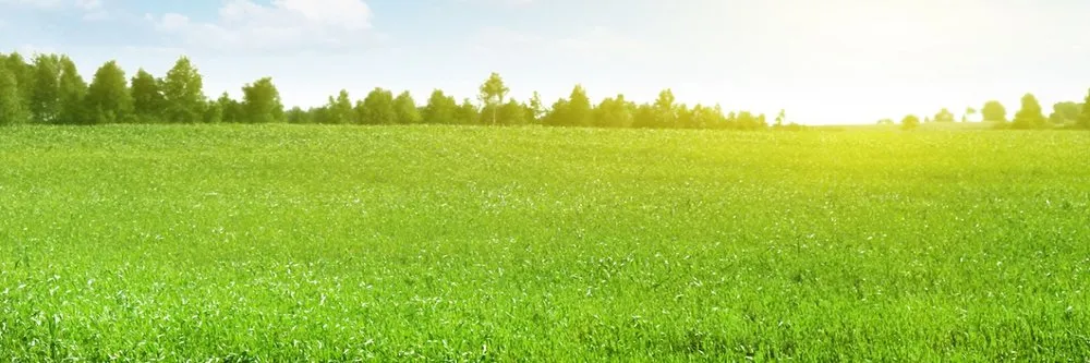 Slide of Rainmasters Irrigation & Landscaping