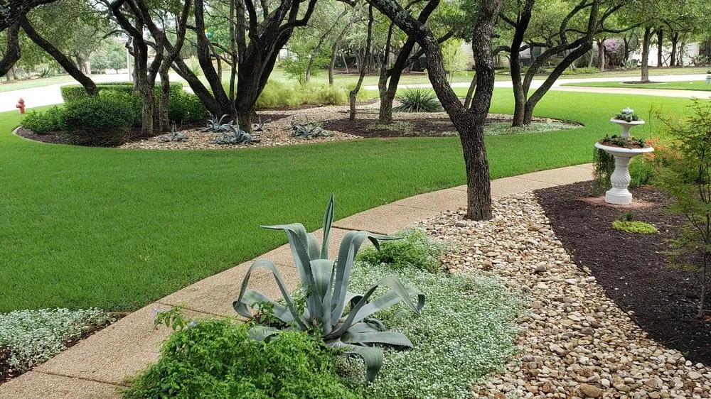 Slide of RainTreeUSA