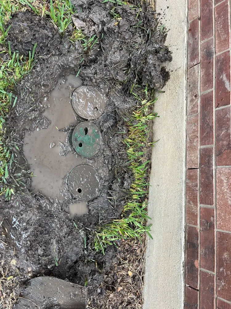 Slide of RainTreeUSA