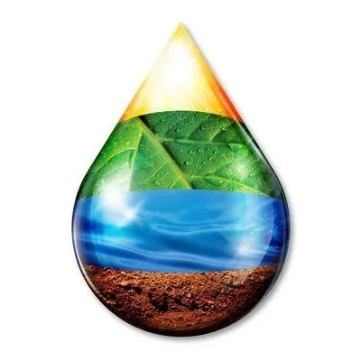 Slide of RainTreeUSA