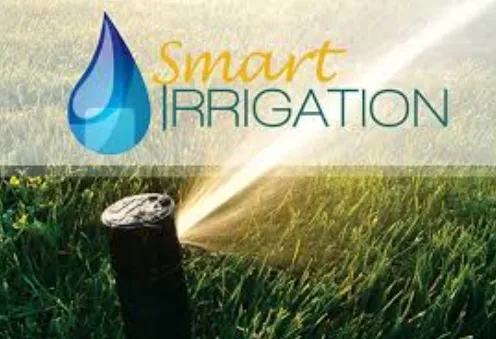 Slide of RainTreeUSA