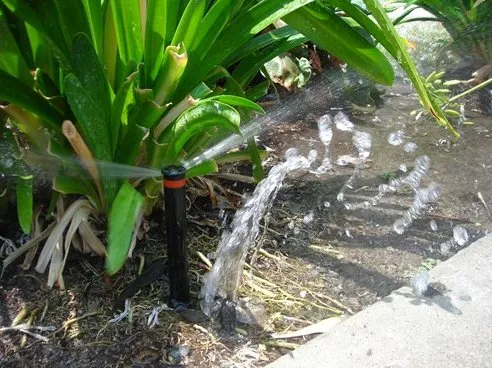 Slide of RainTreeUSA