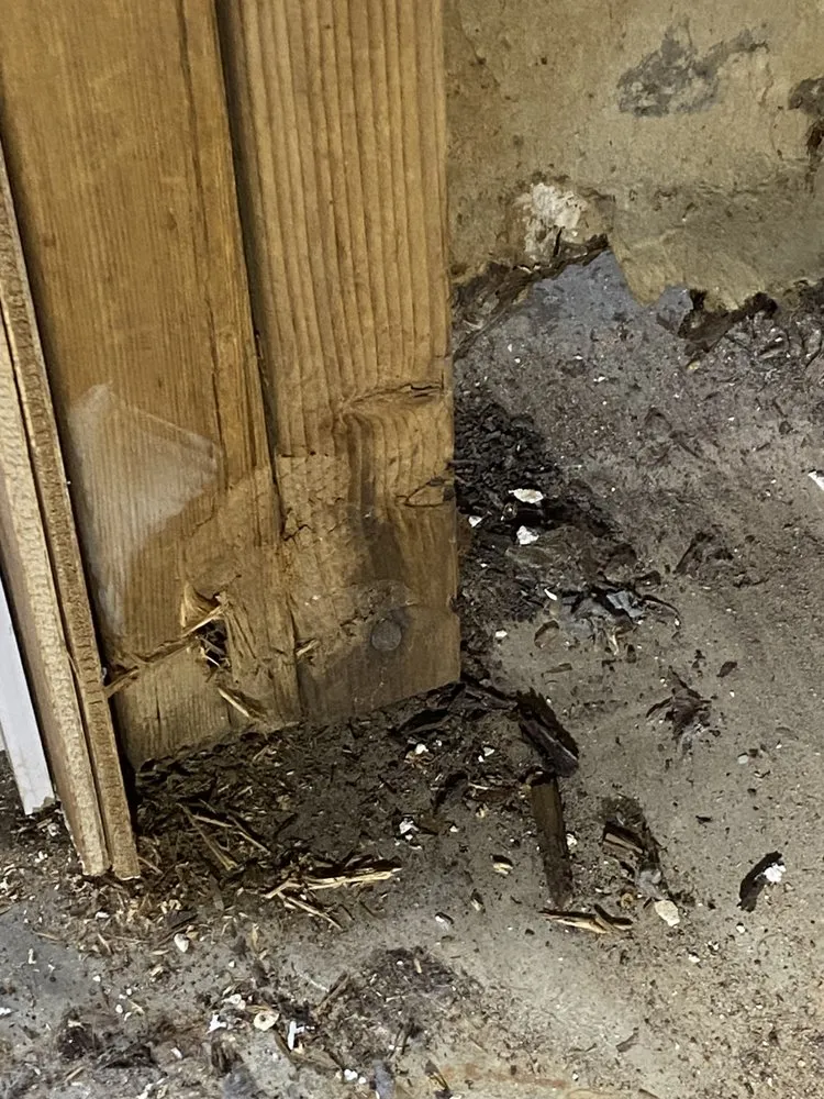 Professional drain cleaning in Huron, TN by Ralph's repairs and restoration services