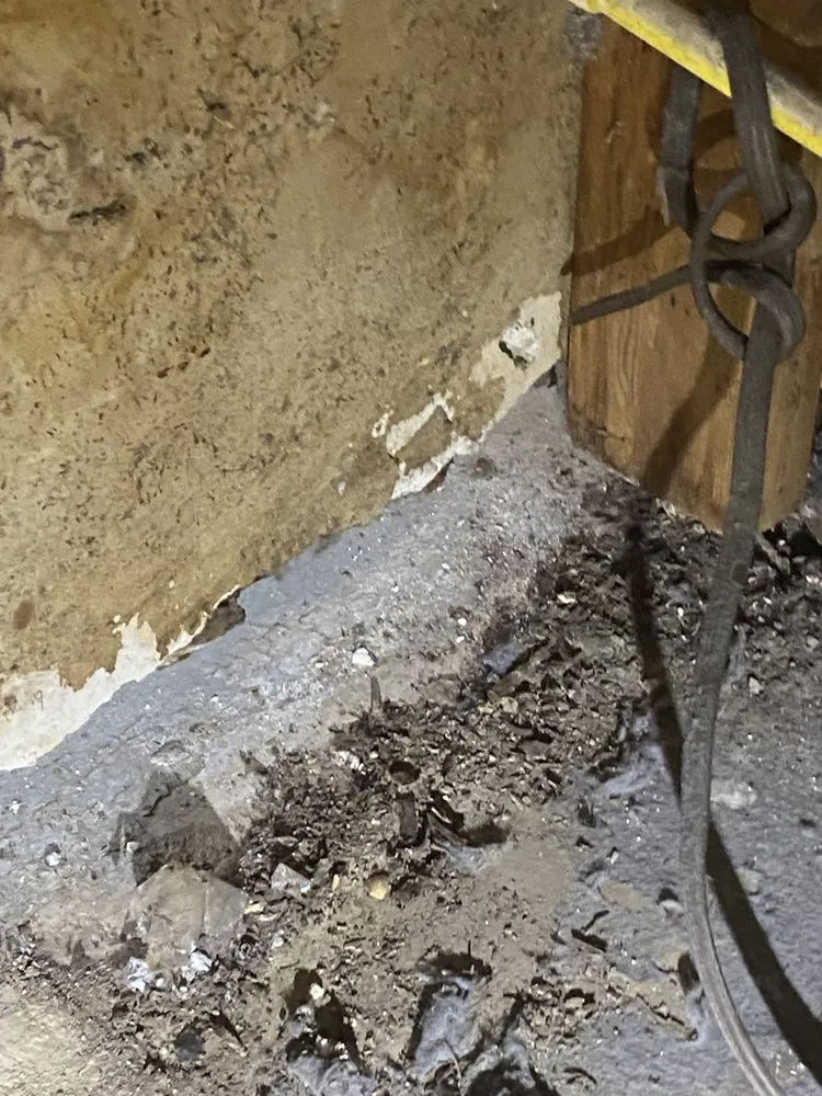 Professional leak detection in Huron, TN by Ralph's repairs and restoration services