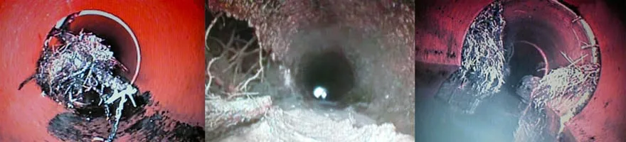 Emergency leak detection experts serving Garden Grove, CA - Ram Rooter Plumbing & Drains