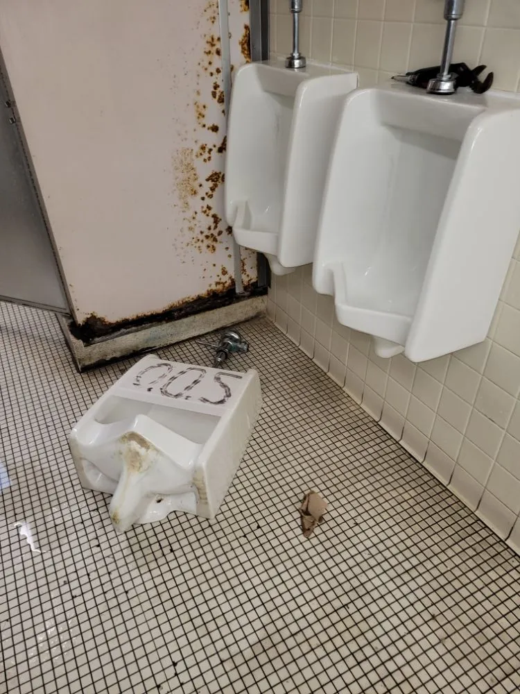 Slide of Ramos plumbing