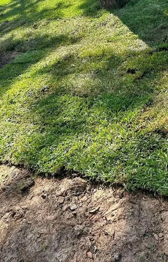 Slide of Ramírez Irrigación Sprinkler Service