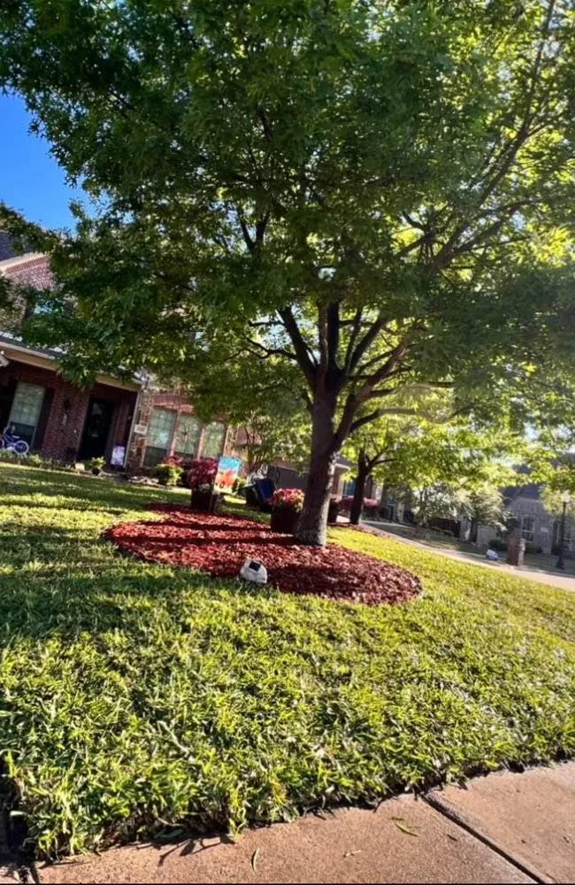 Slide of Ramírez Irrigación Sprinkler Service